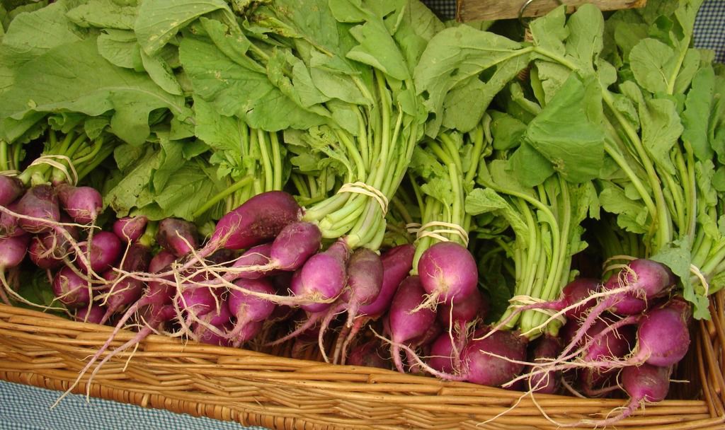 consumer-qs-purple-vegetables-not-new-but-becoming-more-popular