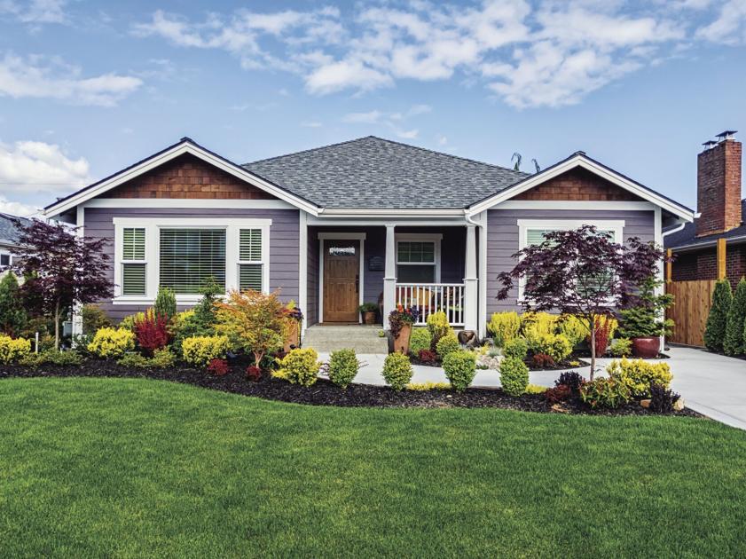Spruce up for spring: Clean suggestions for home updates | House & Backyard garden