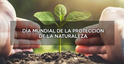 Nature Paper-Naturaleza & Saludable & Sostenible