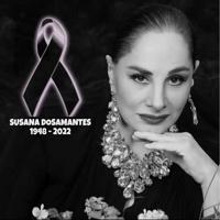 El esposo de Susana Dosamantes llevará las cenizas de la actriz hacia México