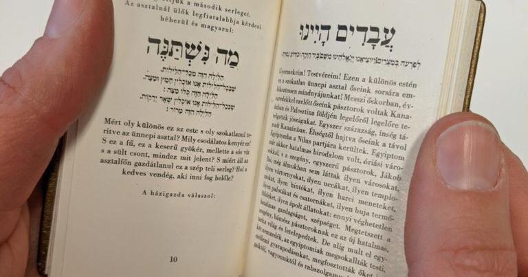 A Holocaust survivor's collection of over 1,000 miniature books speaks volumes about her resilience | US & World News - Vimarsana News