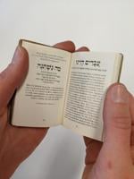 A Holocaust survivor’s collection of over 1,000 miniature books speaks volumes about her resilience