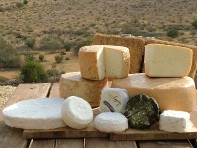 Cheese Maker In Negev Offers Travelers Tasty Shavuot Holidays