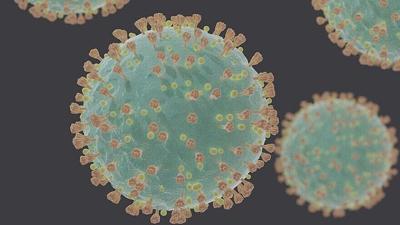Israelis And Emiratis To Develop Covid 19 Stem Cell Therapy Us World News Jewishaz Com