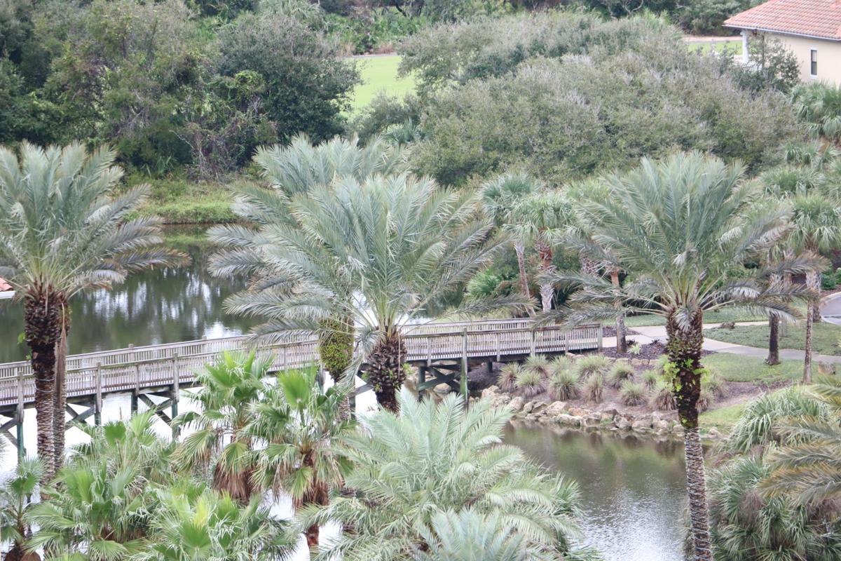 Northeast Florida Well Worth A Visit Families Lifestyles