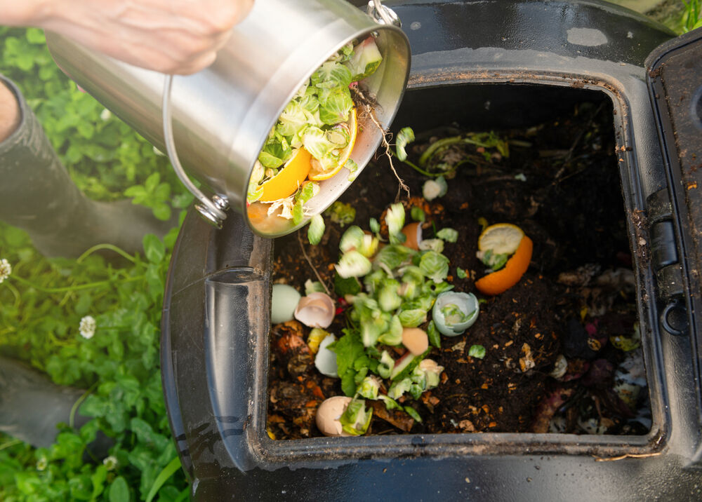 Home Composting Of Kitchen Waste - Grow Herbs, Make Compost Of Kitchen  Waste & Stock Essentials: Great Eco-Friendly Habits Post-Lockdown