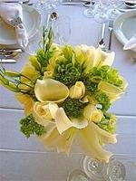 How to plan a wedding in college the smart way