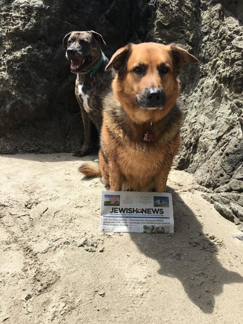 Stop the (puppy) presses!