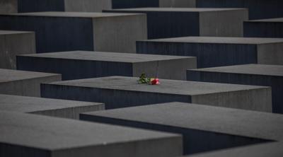 Holocaust Memorial rose