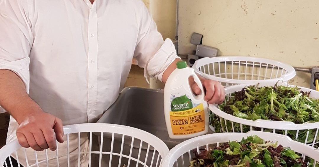 Kosher Crops (sans bugs) aims to create the ‘cleanest, freshest’ salad ...