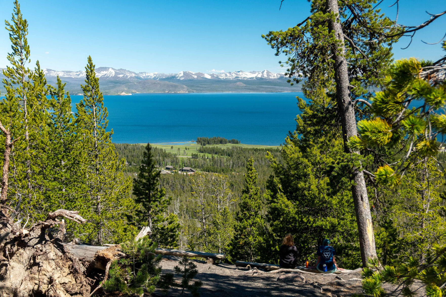 Elephant back loop top trail