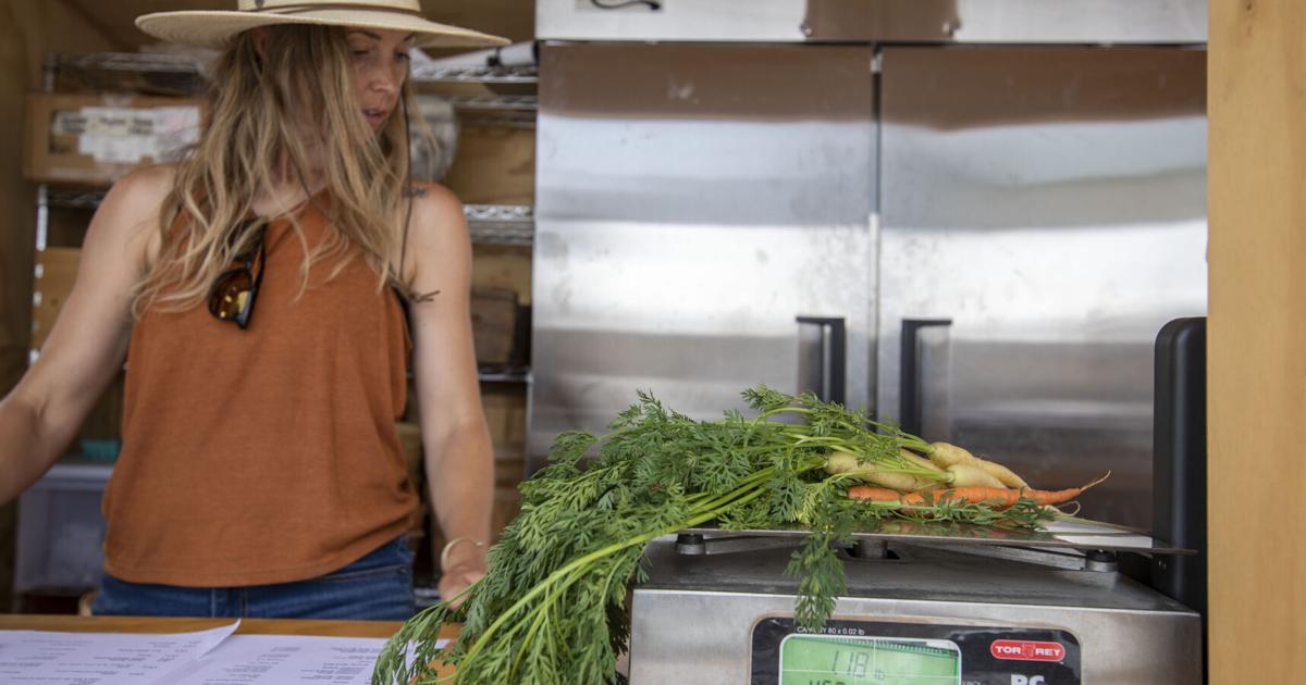 Slow Food farm stand spinning up with lots of leafy greens