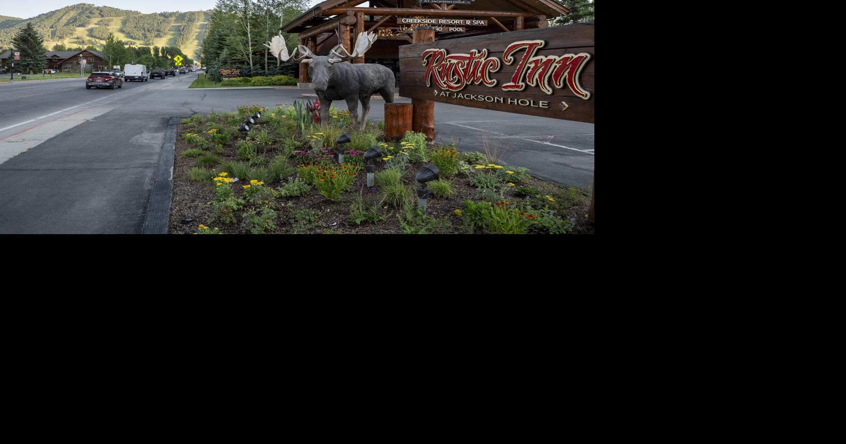 Felony case moves forward in Jackson moose statue vandalism