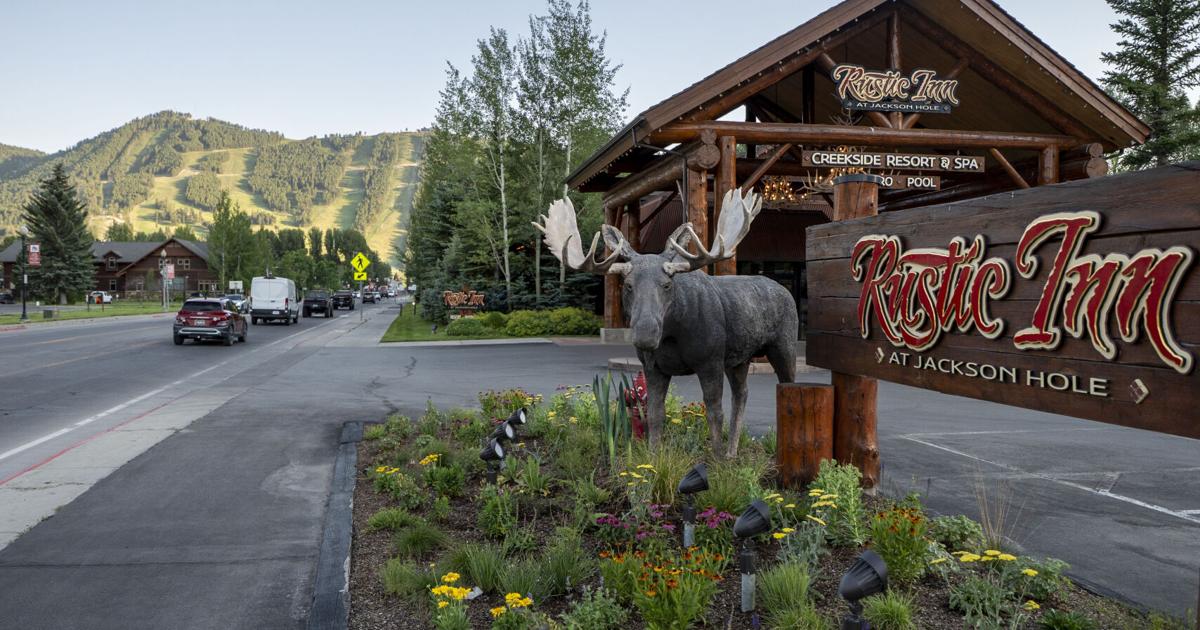 Felony case moves forward in Jackson moose statue vandalism