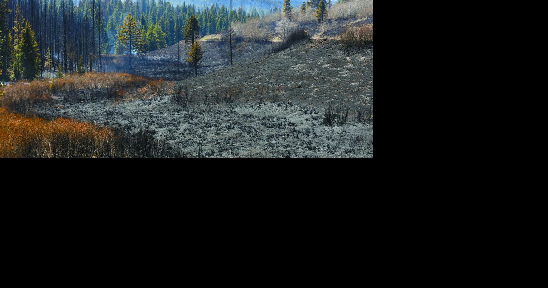 Firefighters facing windy and warm conditions on Spread Creek Fire