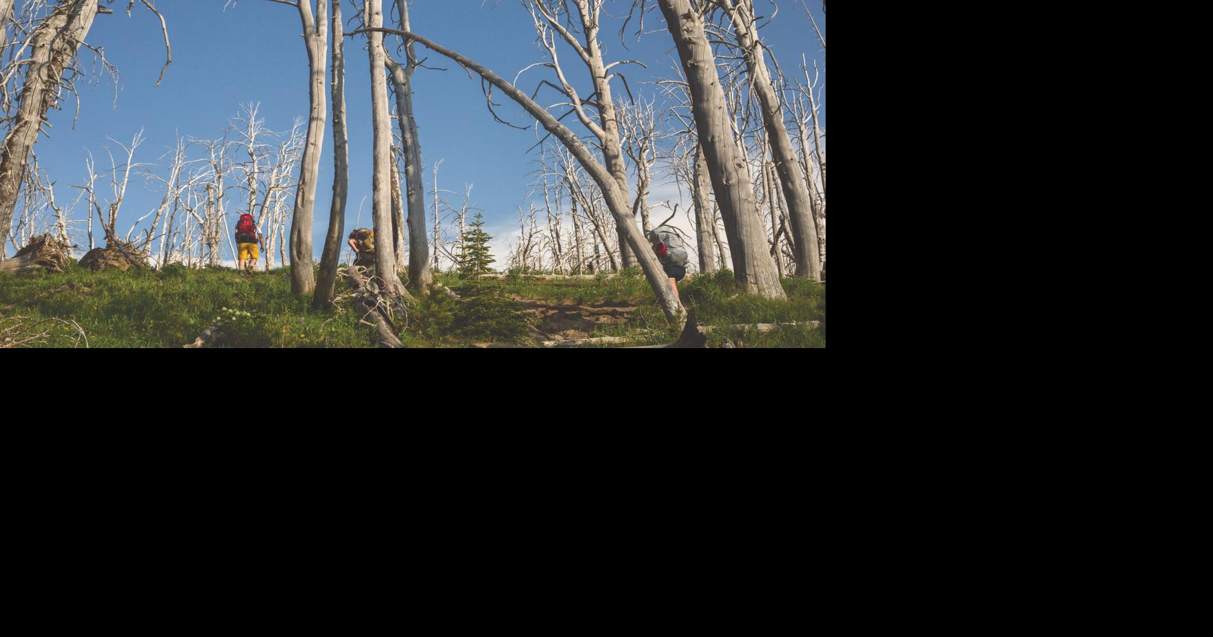 AMK Ranch summer series kicks off in town with new climate report ...