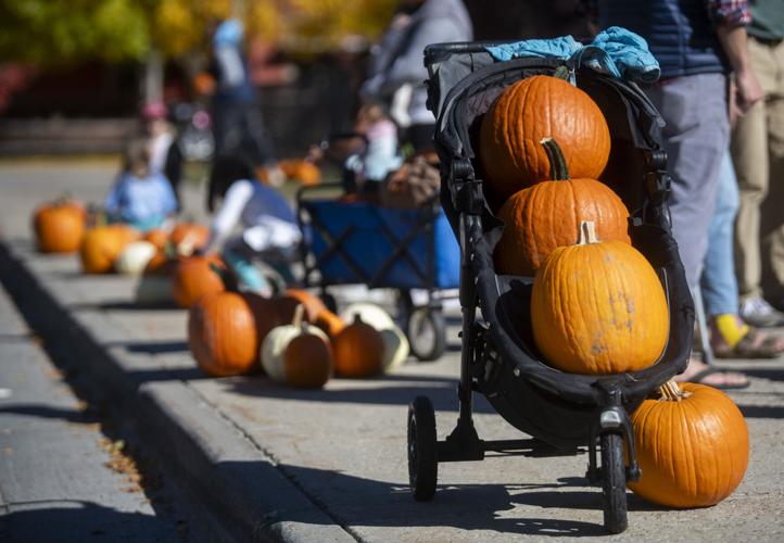 GALLERY: Record pumpkin sale and Pumpkins on Fire | Multimedia ...
