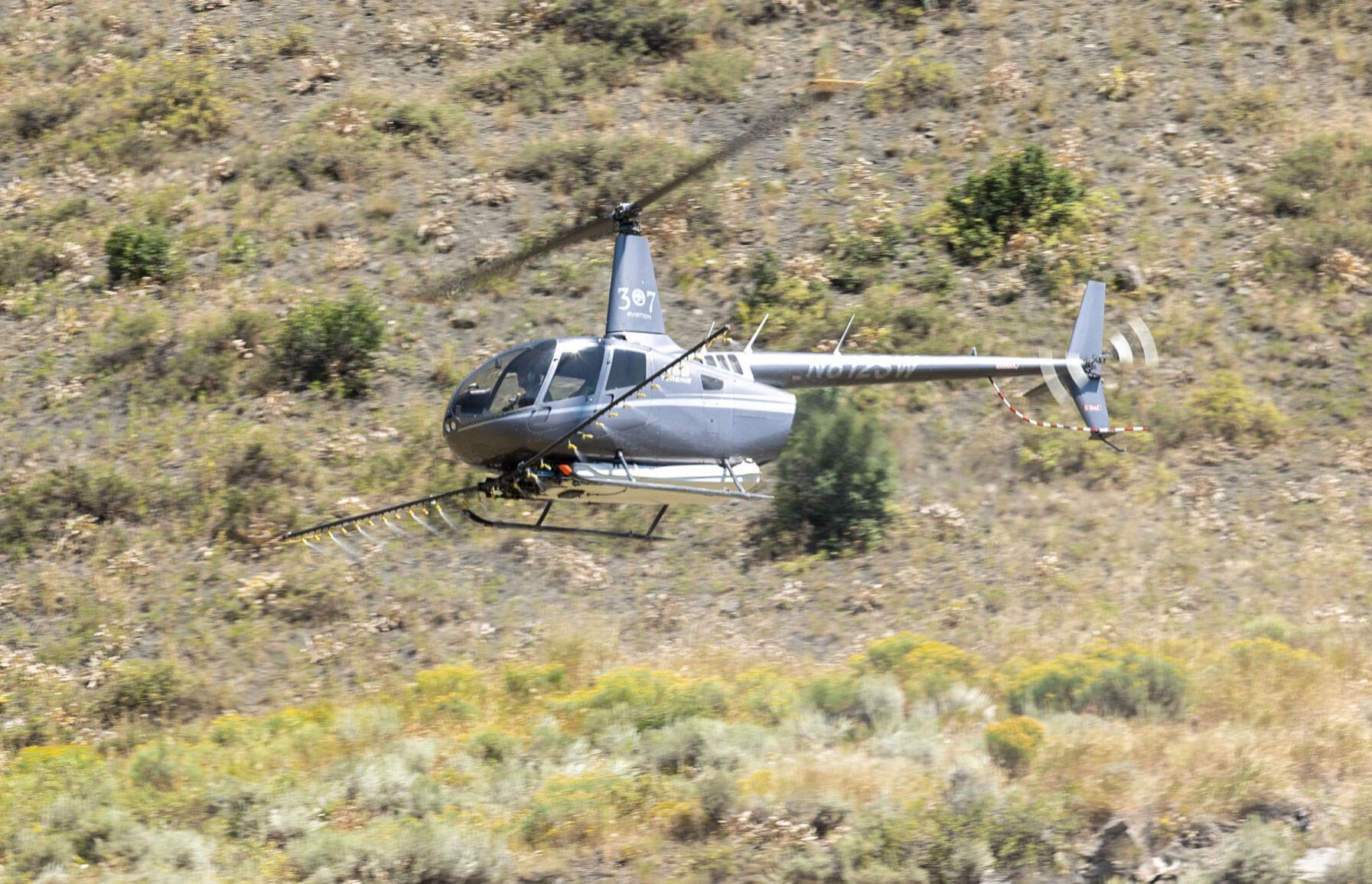 Helicopters Drones Take-on Noxious Weeds Today