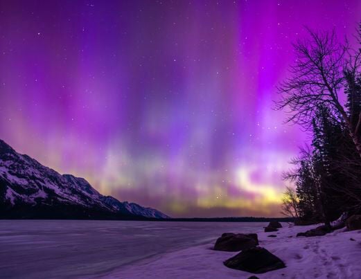 GALLERY: News&Guide readers capture aurora borealis | Multimedia 