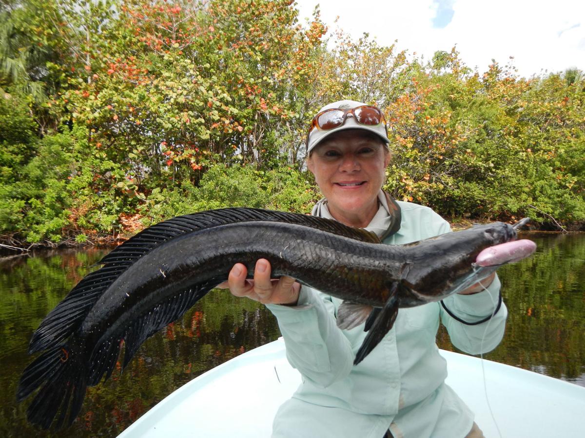 Casting for snakehead for fun — and feasting, Outdoors