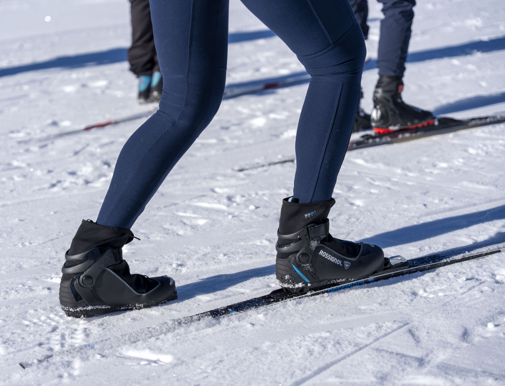 Nordic Alliance shares the glide | Sports Features