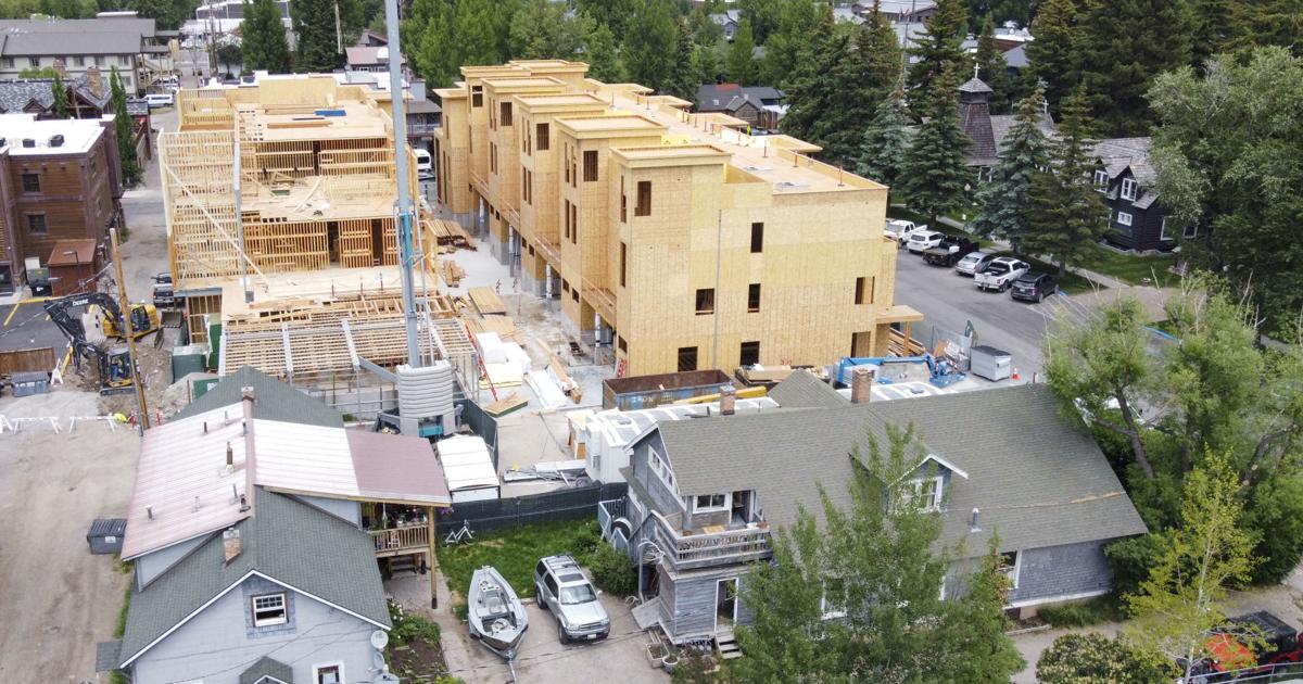 ShelterJH calls for emergency oneyear moratorium on building permits