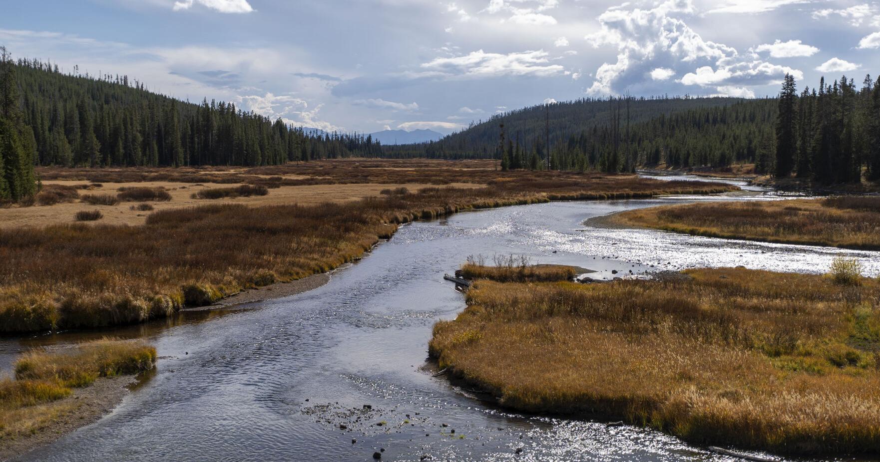 Oregon man pleads guilty to illegal fishing in Yellowstone | Local