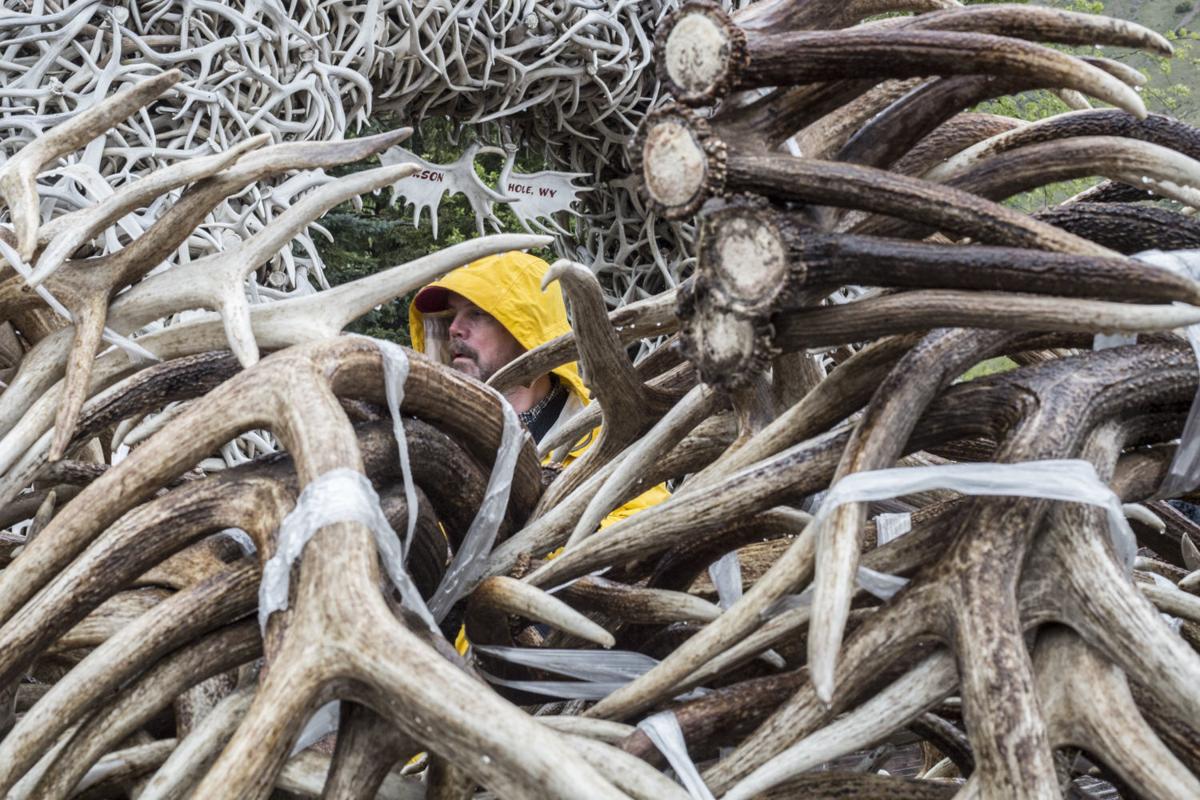 Antler extravaganza Events