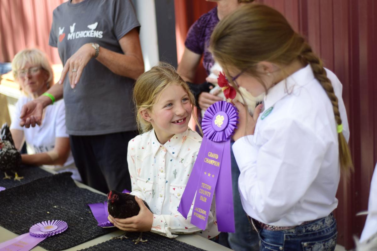 4-H Poultry Show