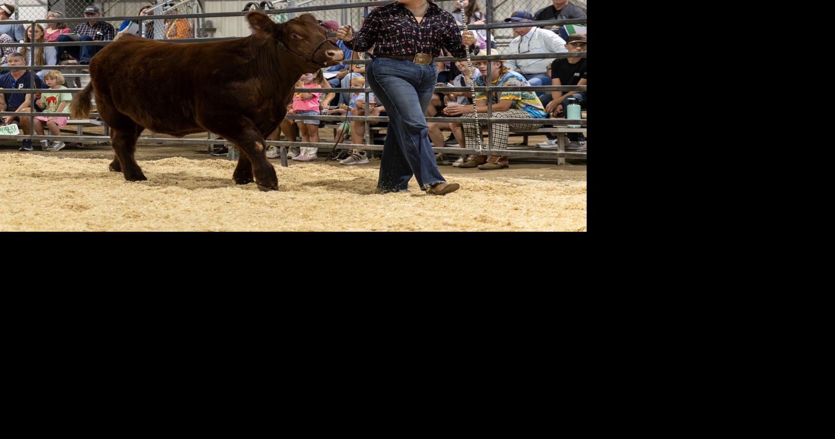 Livestock sale caps off fair week