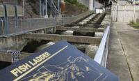 Epa Says Federal Dams Raise Water Temperature In Snake River State And Regional Jhnewsandguide Com