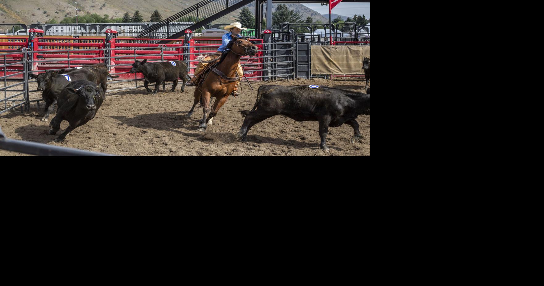 Ranch sorting a hit at the Fair | Features | jhnewsandguide.com