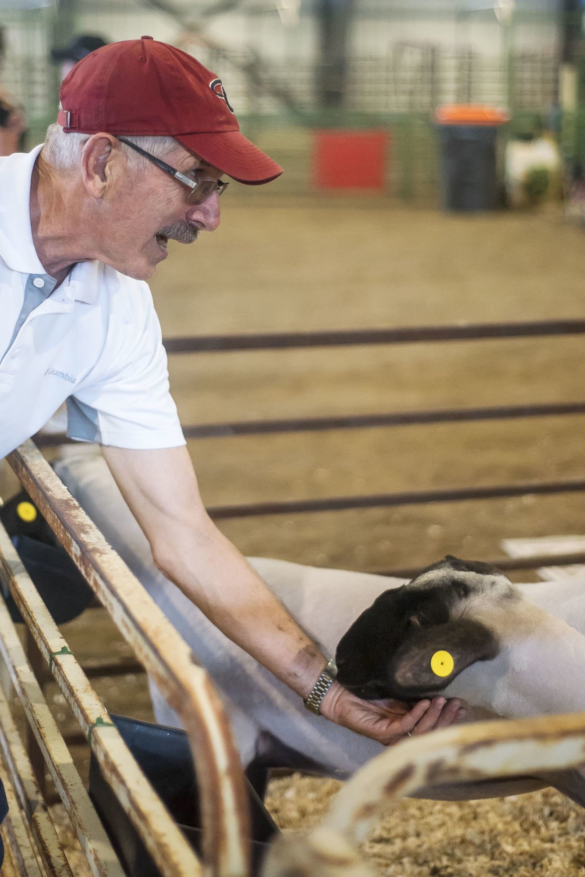Teton County Fair