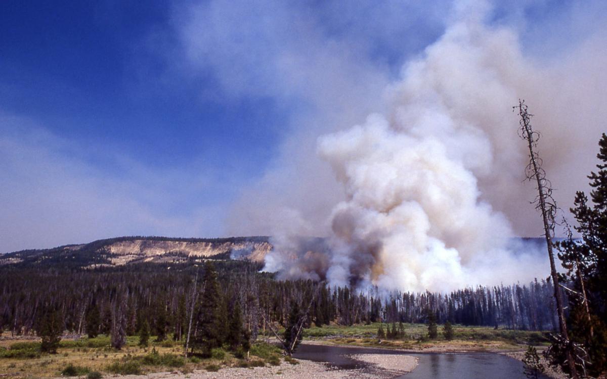 Thirty years after the 1988 Yellowstone fires, living in an era when