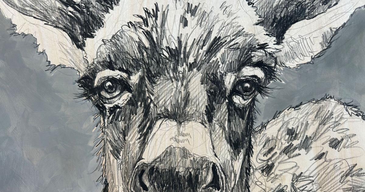 Ringholz springs onward with new show | Arts | jhnewsandguide.com