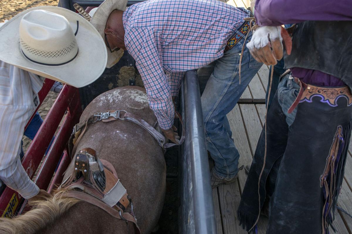 Rodeo