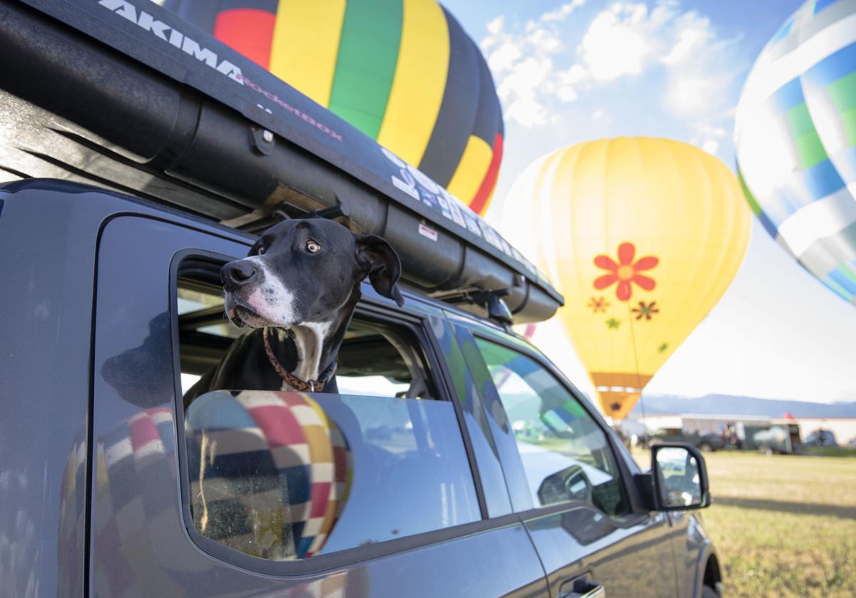 Teton Valley Balloon Rally 2020 takes off Saturday