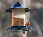 Bird feeders