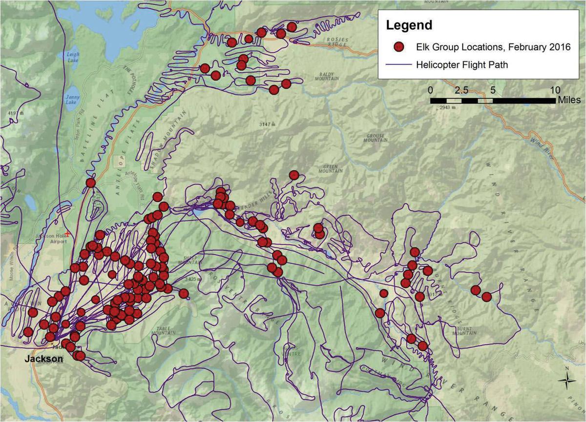 Elk numbers steady, winter survey finds Environmental