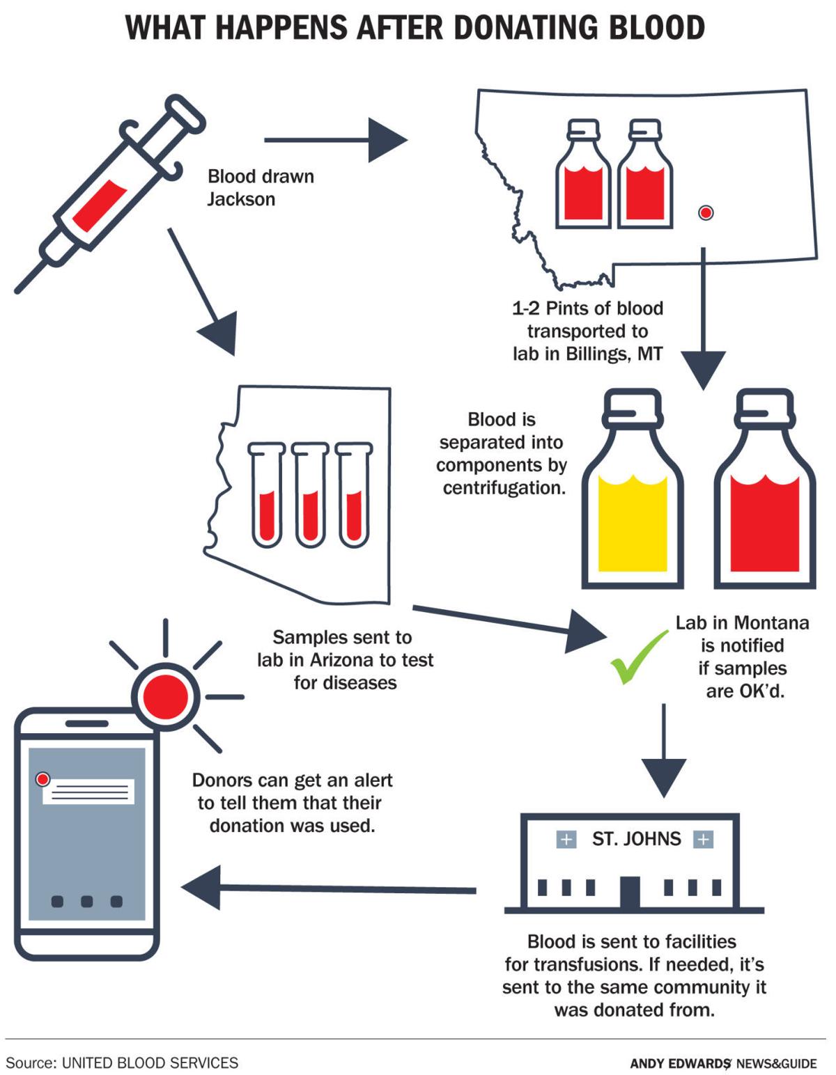 A Way For All Types To Give Features Jhnewsandguide Com