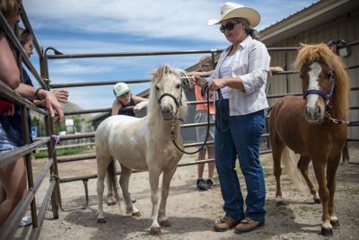 Healing Through Horses Large And Small Closeup Jhnewsandguide Com
