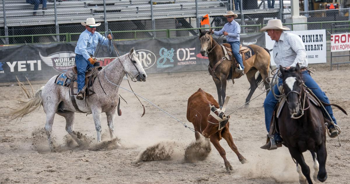 Team ropers mix work, pleasure at fairgrounds | Sports Features ...