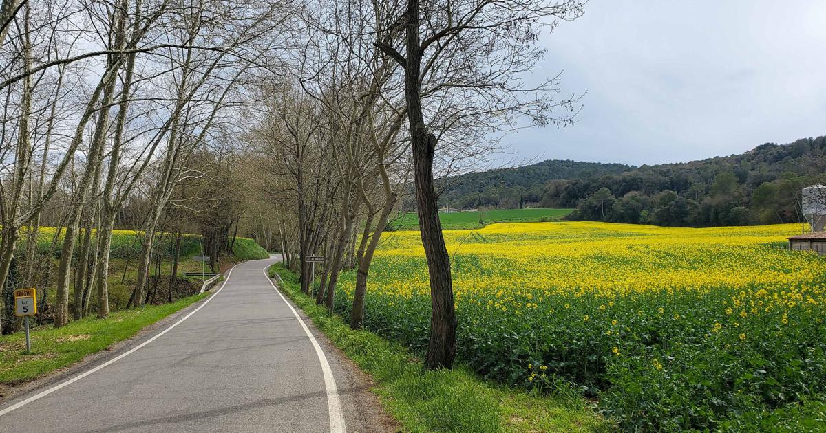 Pedalear por la Costa Brava y Girona en España no es tan difícil | Al aire libre Pedalear por la Costa Brava y Girona en España no es tan difícil | Al aire libre