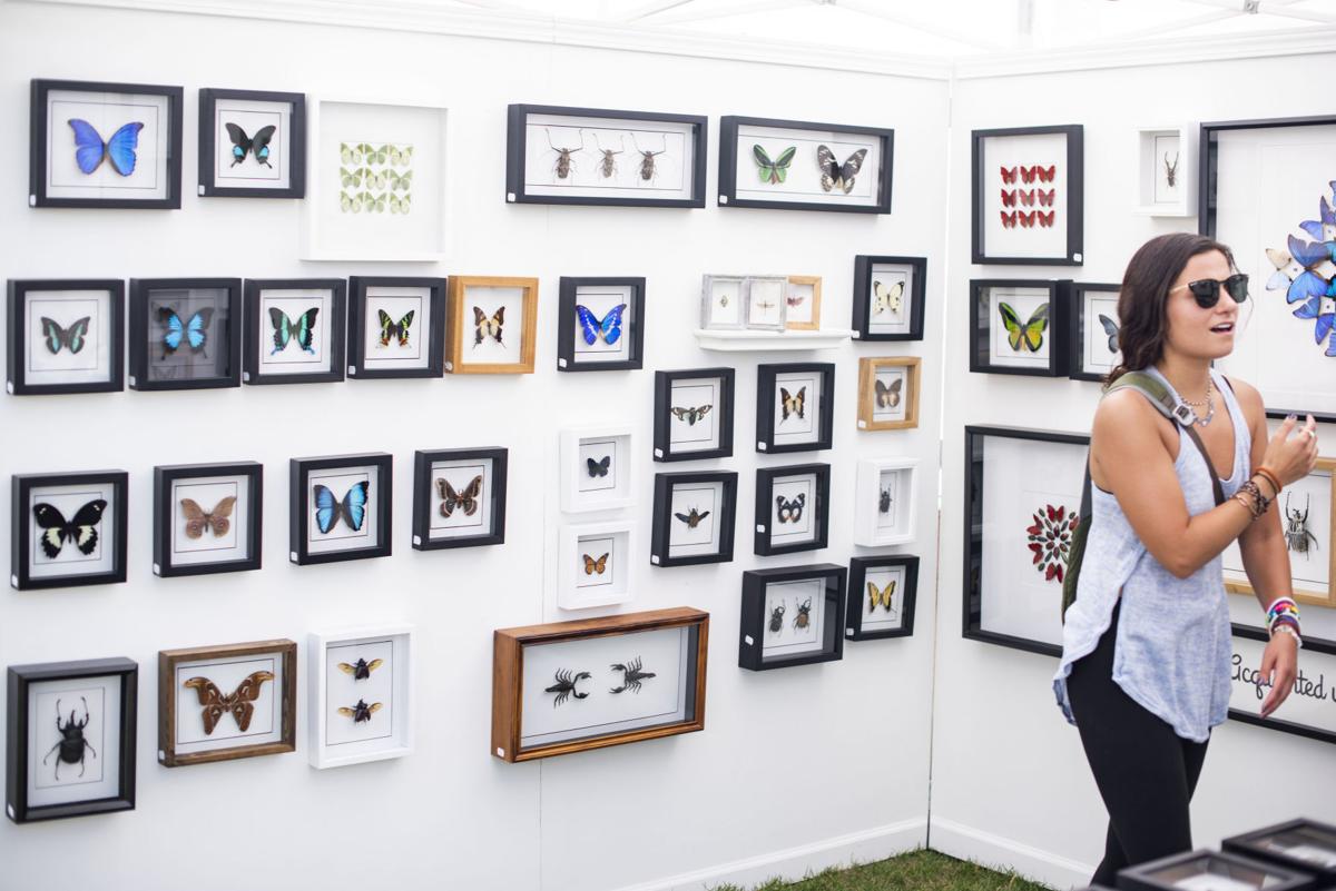 Art Fair Jackson Hole
