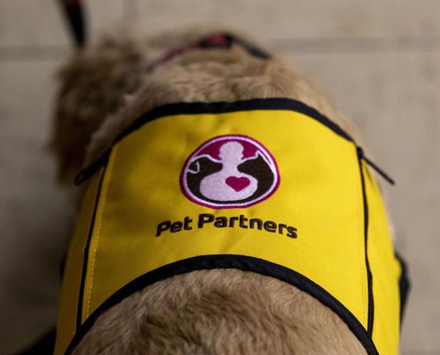 Pet Partners ready to register new teams and spread joy Features