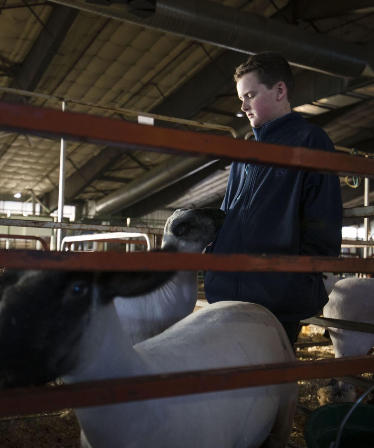 Kids spend last moments with their animals after auction