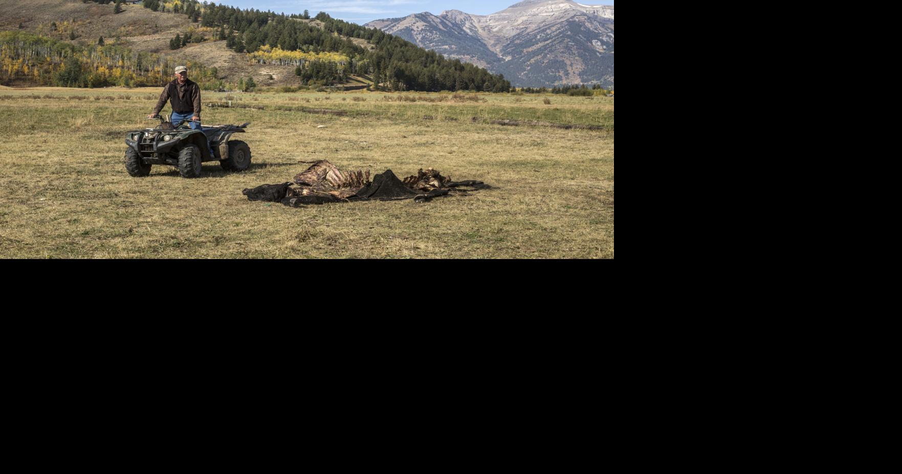 Feds modify Wyoming wolfkilling plan Environmental