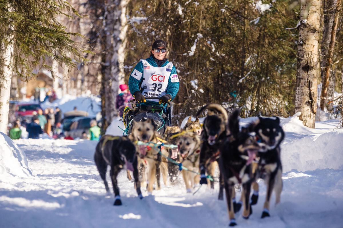 how many dogs have died in the iditarod 2018