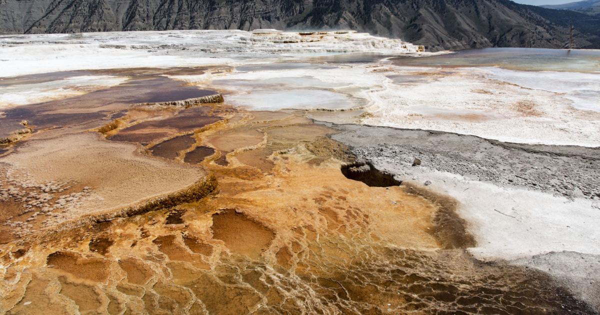 Texas man faces jail time for walking on thermal features near ...