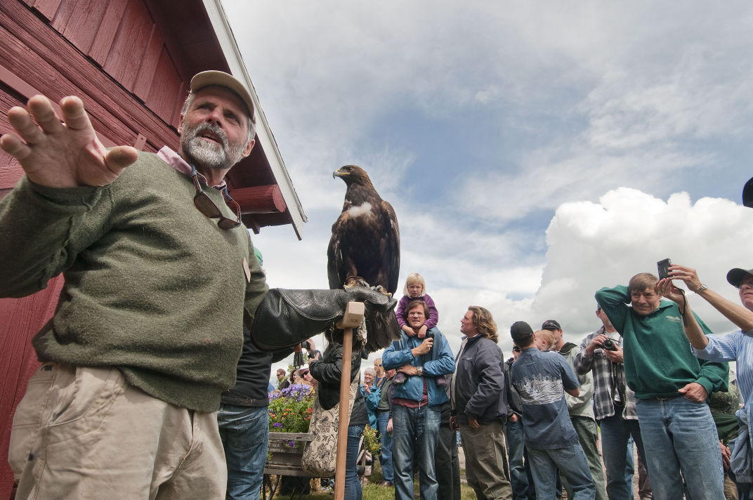 Eagles And Grizzlies Are Dying Conservationists Want